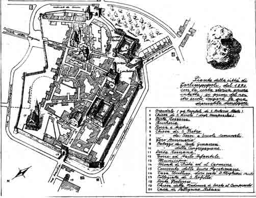 ArtusiForlimPianta.JPG (373118 byte)