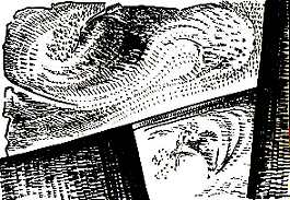DisegnAeropittura1.jpg (221295 byte)