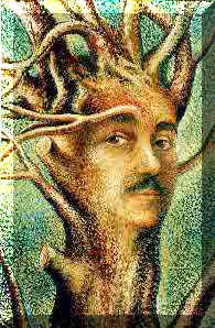 Solarialbero.jpg (102942 byte)