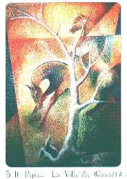 Tarocalbero2.jpg (94039 byte)