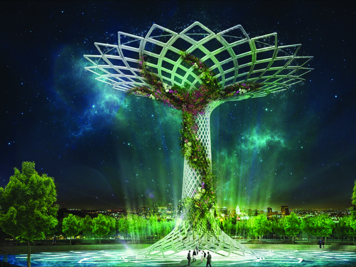 downloadALBERO1.jpg (524449 byte)