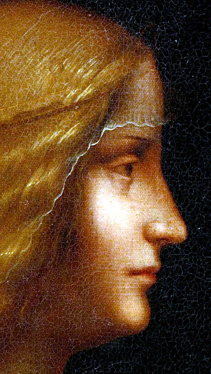 totale_elaborata_senza_corona_e_palma_1Rfaccia.jpg (140569 byte)